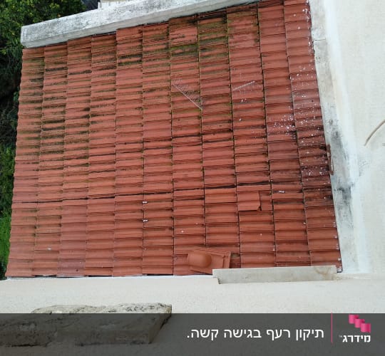 גג רעפים אדומים עם לכלוך וטחב